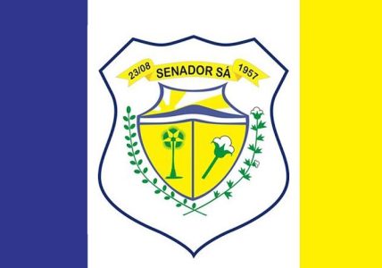 bandeira municipal - senador